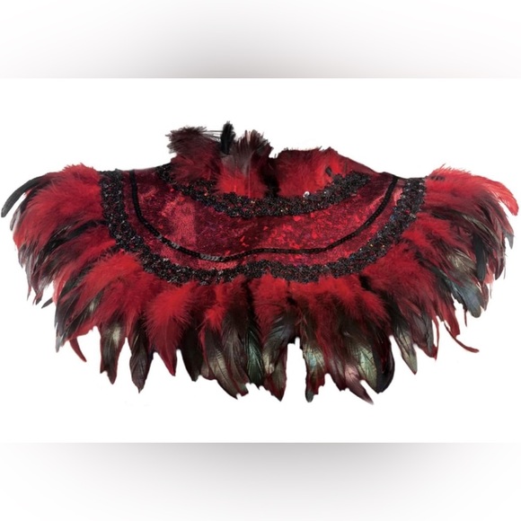 Firebird Bundle By Amscan, 1 Red & Black Feather Collar & 1 Hair Clip Brand New - Picture 2 of 4